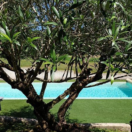 Chambre Saint Emilion - Le Clos D'Antan Les Artigues-de-Lussac Bagian luar foto