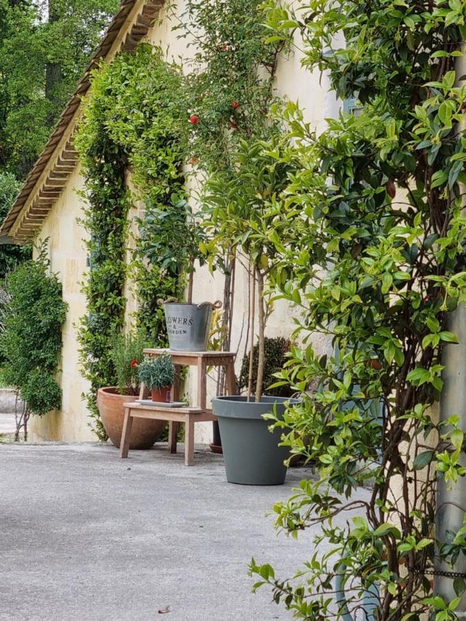 Chambre Saint Emilion - Le Clos D'Antan Les Artigues-de-Lussac Bagian luar foto