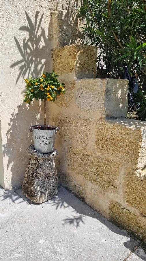 Chambre Saint Emilion - Le Clos D'Antan Les Artigues-de-Lussac Bagian luar foto