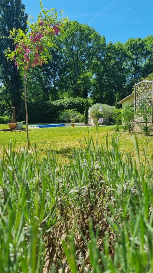 Chambre Saint Emilion - Le Clos D'Antan Les Artigues-de-Lussac Bagian luar foto